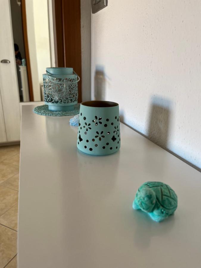 Charlotte Apartment - For Family And Groups 托雷斯港 外观 照片